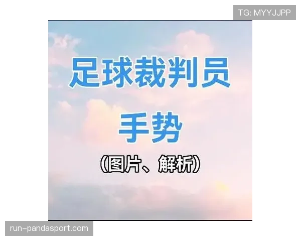 裁判手势在足球判罚中传递关键信息的标准规则解析 裁判手势在足球判罚中传递关键信息的标准规则解析