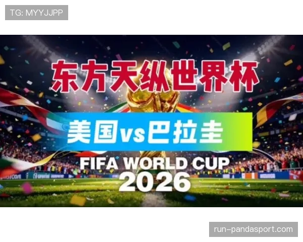 世界杯巴拉圭队D组头名争夺战分析